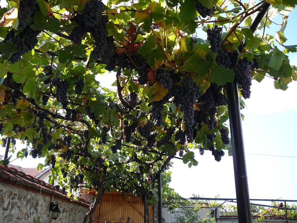 Guesthouse Argacho Stob Zewnętrze zdjęcie